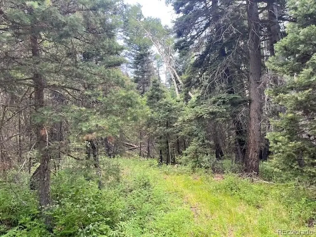 Lot 5757 Balleroy Road San Luis CO 81152