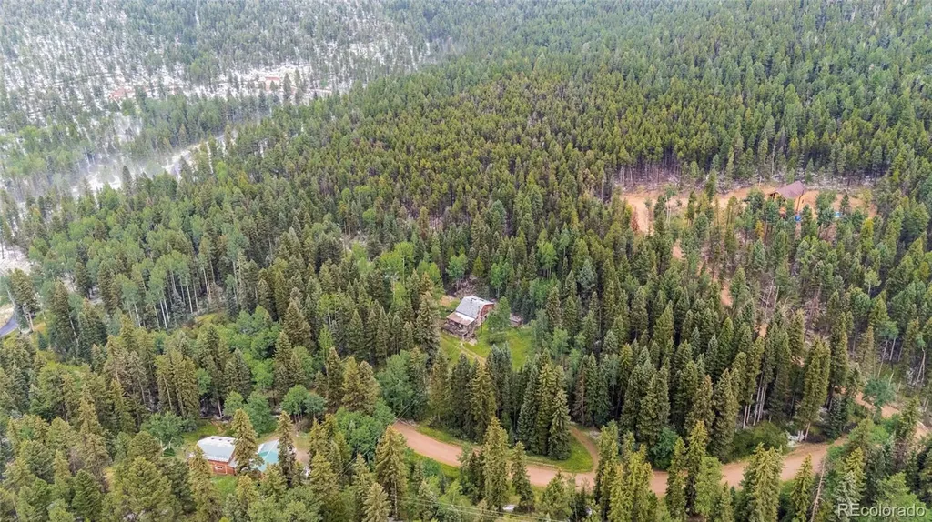 11173 S Barney Gulch Road Conifer CO 80433