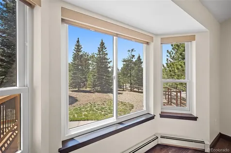 17805 Fairplay Way Monument CO 80132