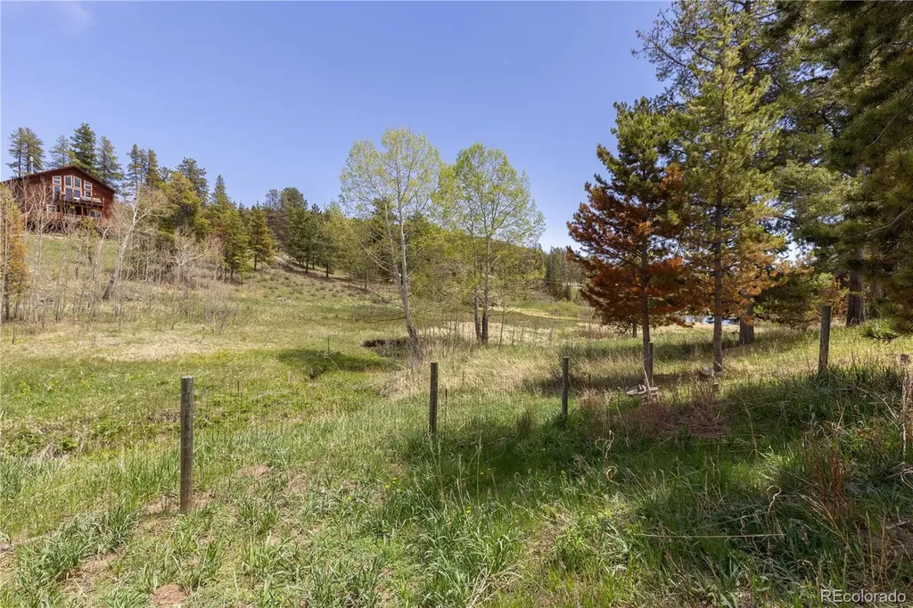 10868 Norton Avenue Conifer CO 80433