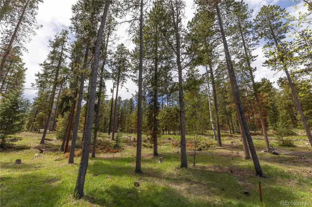 10868 Norton Avenue Conifer CO 80433