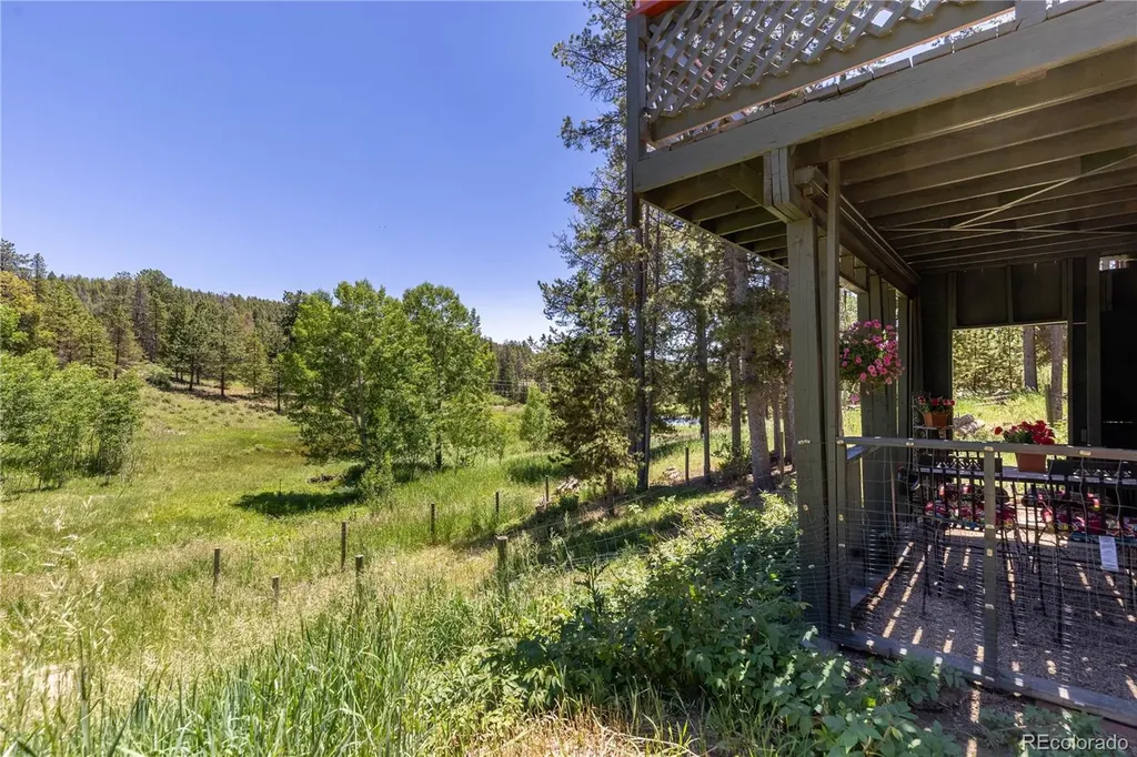 10868 Norton Avenue Conifer CO 80433