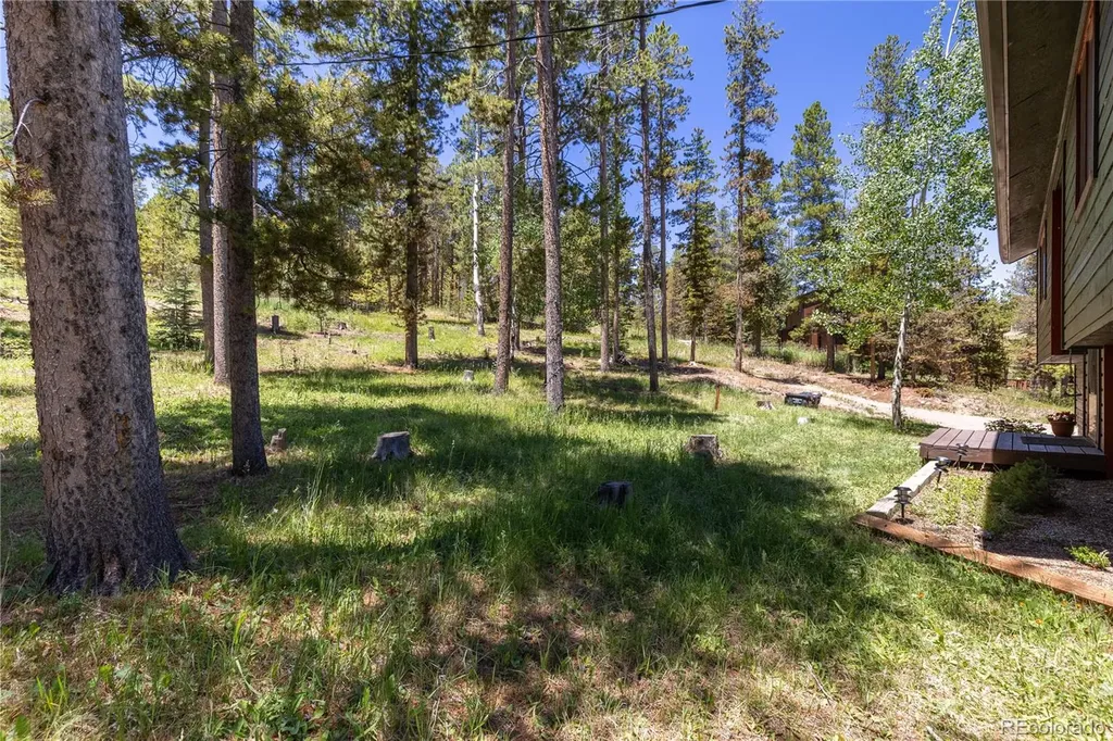 10868 Norton Avenue Conifer CO 80433