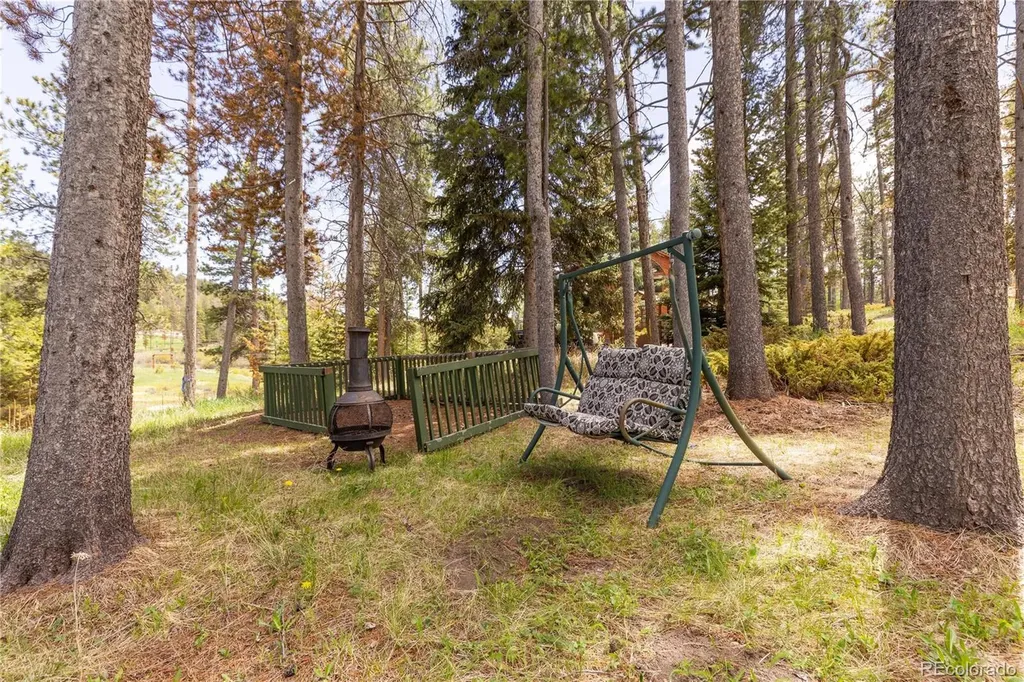 10868 Norton Avenue Conifer CO 80433