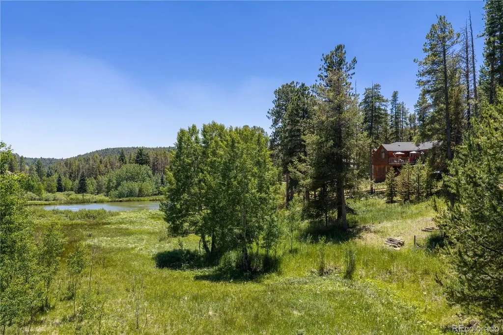 10868 Norton Avenue Conifer CO 80433