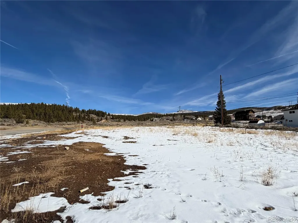 617 E 8th Street Leadville CO 80461