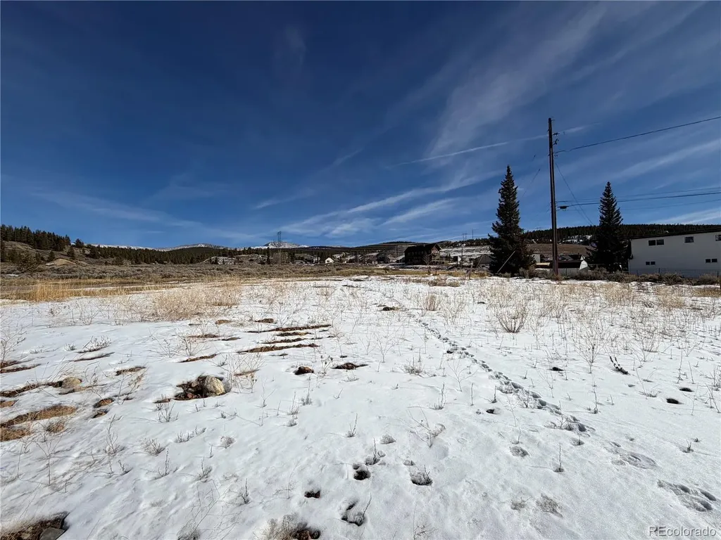 617 E 8th Street Leadville CO 80461