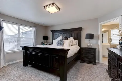 4766 Fiadore Lane Castle Rock CO 80104