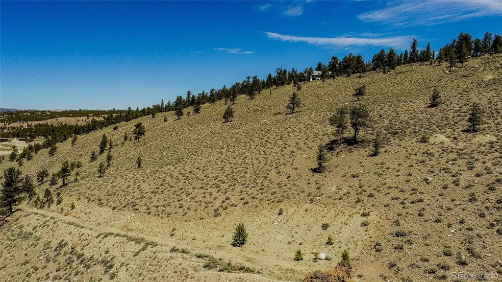 6278 County Road 10 Twin Lakes CO 81251