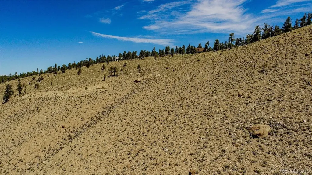 6278 County Road 10 Twin Lakes CO 81251