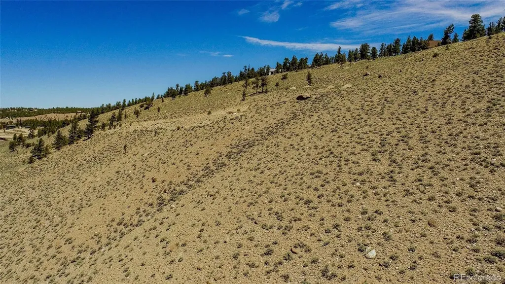 6278 County Road 10 Twin Lakes CO 81251