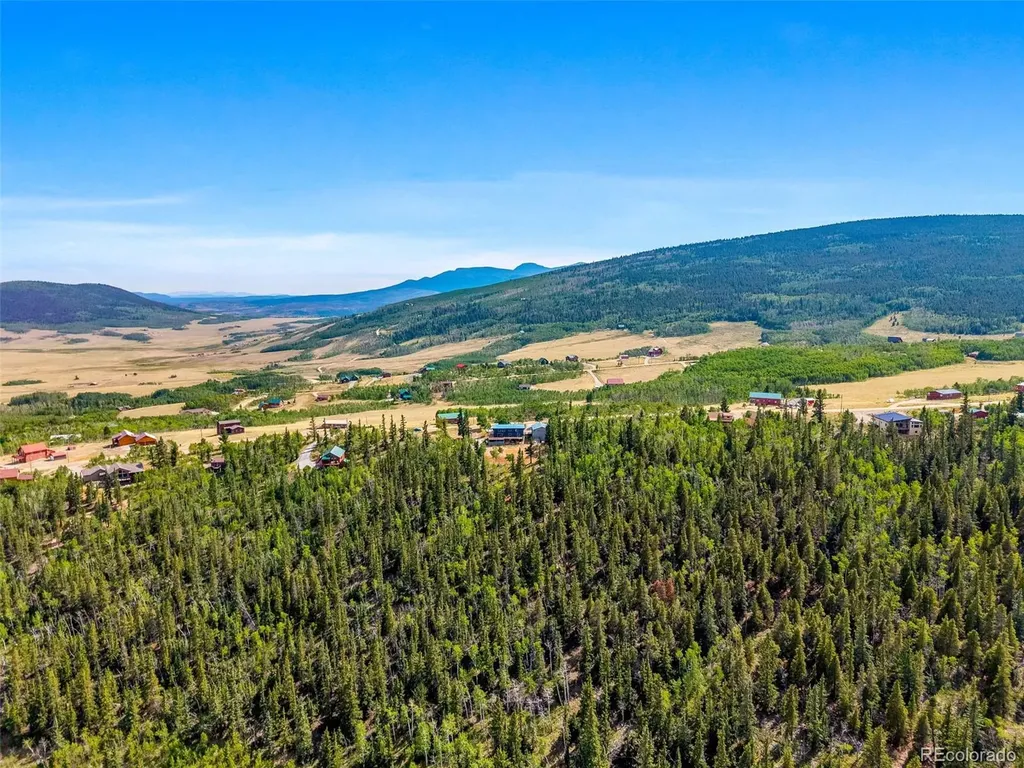 597 Sheep Ridge Road Fairplay CO 80440