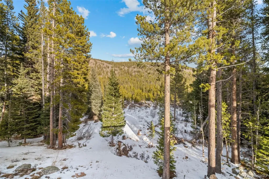 838 Silver Creek Road Idaho Springs CO 80452