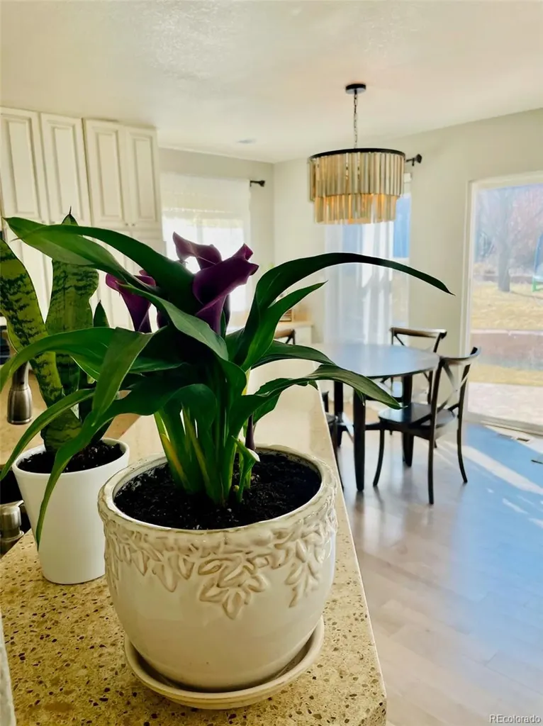 17002 W 66th Lane Arvada CO 80007