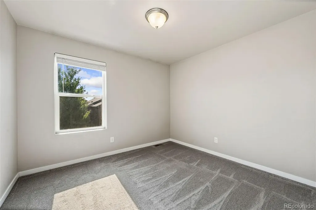 5562 Clarence Drive Windsor CO 80550