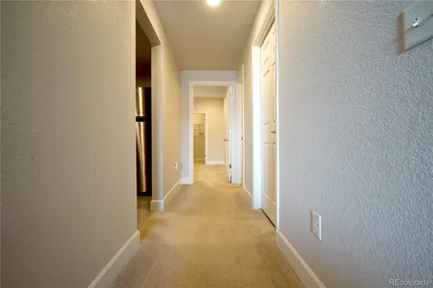6782 Petunia Place Castle Rock CO 80108