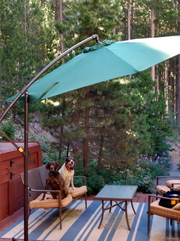9198 Black Mountain Drive Conifer CO 80433
