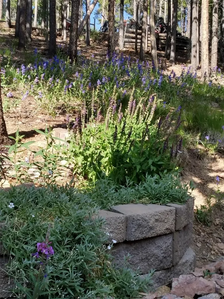 9198 Black Mountain Drive Conifer CO 80433