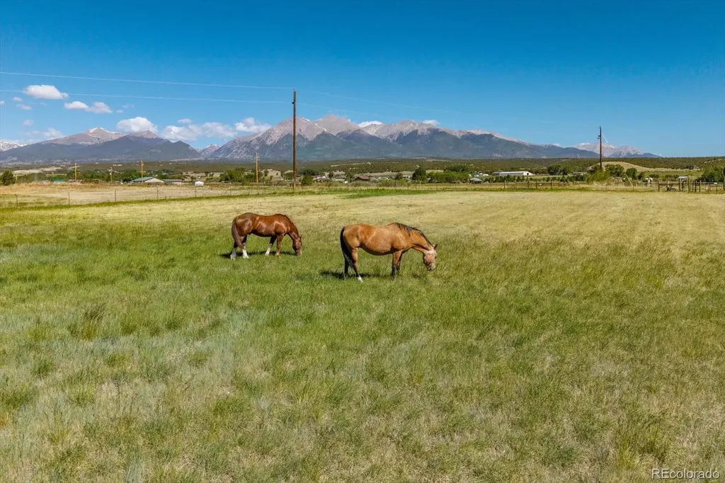 7625 County Road 253 Salida CO 81201