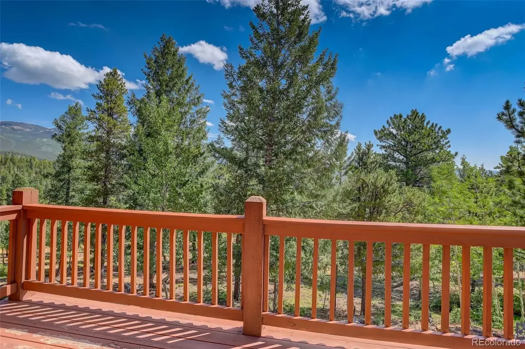 890 Royal Ridge Drive Bailey CO 80421