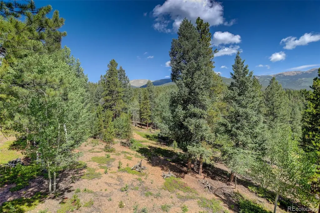 890 Royal Ridge Drive Bailey CO 80421