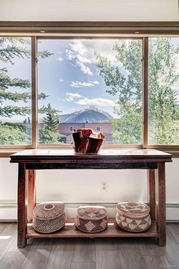 95600 Ryan Gulch Road Silverthorne CO 80498