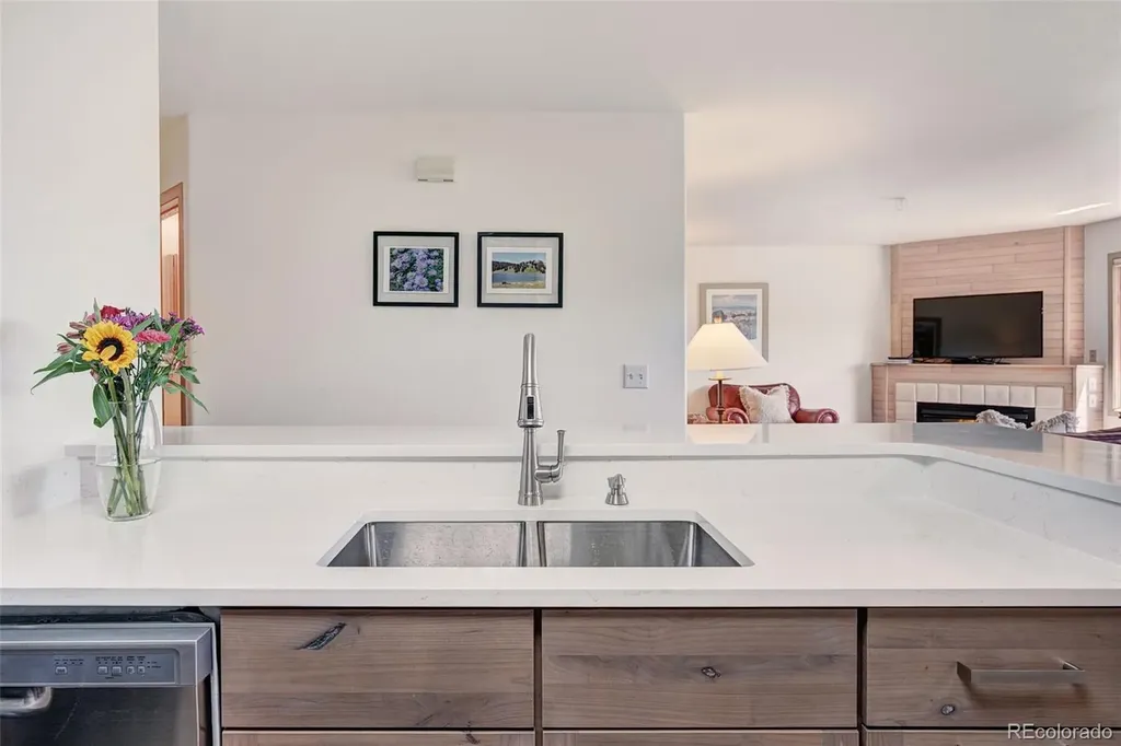 95600 Ryan Gulch Road Silverthorne CO 80498