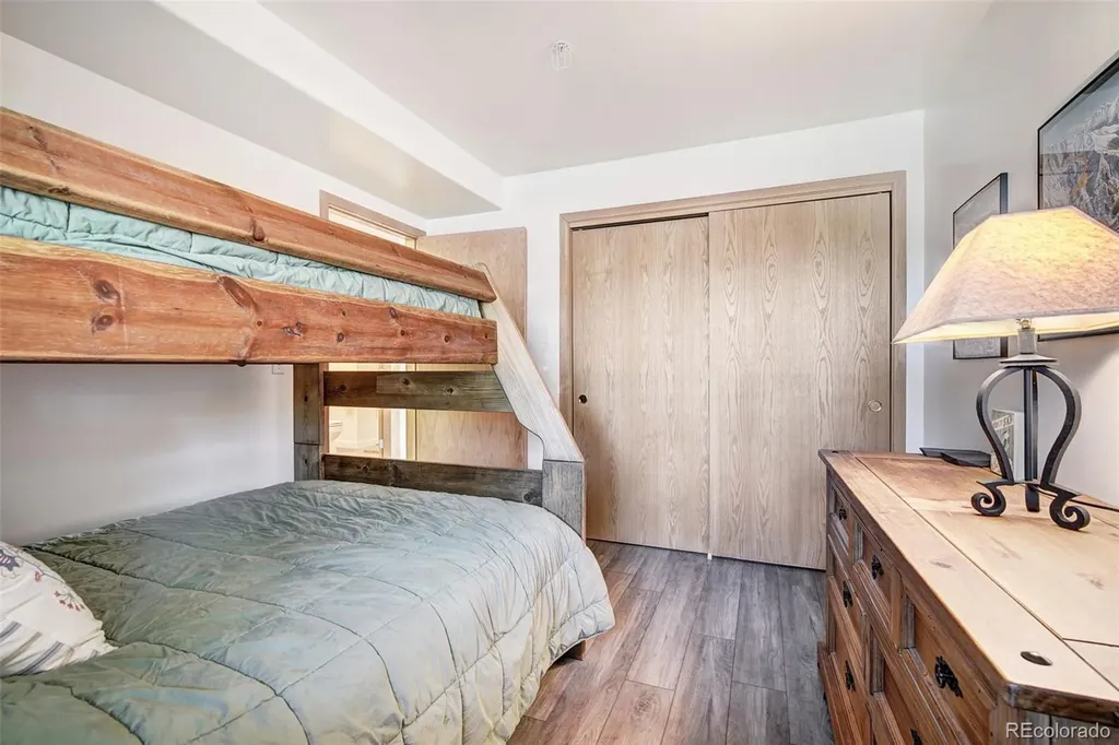 95600 Ryan Gulch Road Silverthorne CO 80498