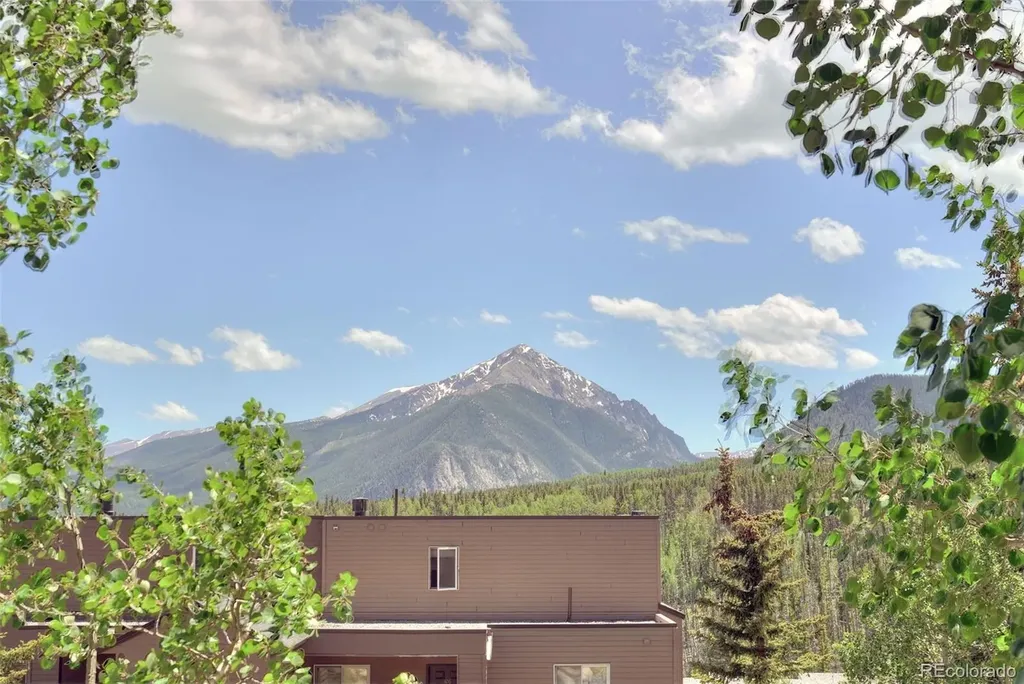 95600 Ryan Gulch Road Silverthorne CO 80498