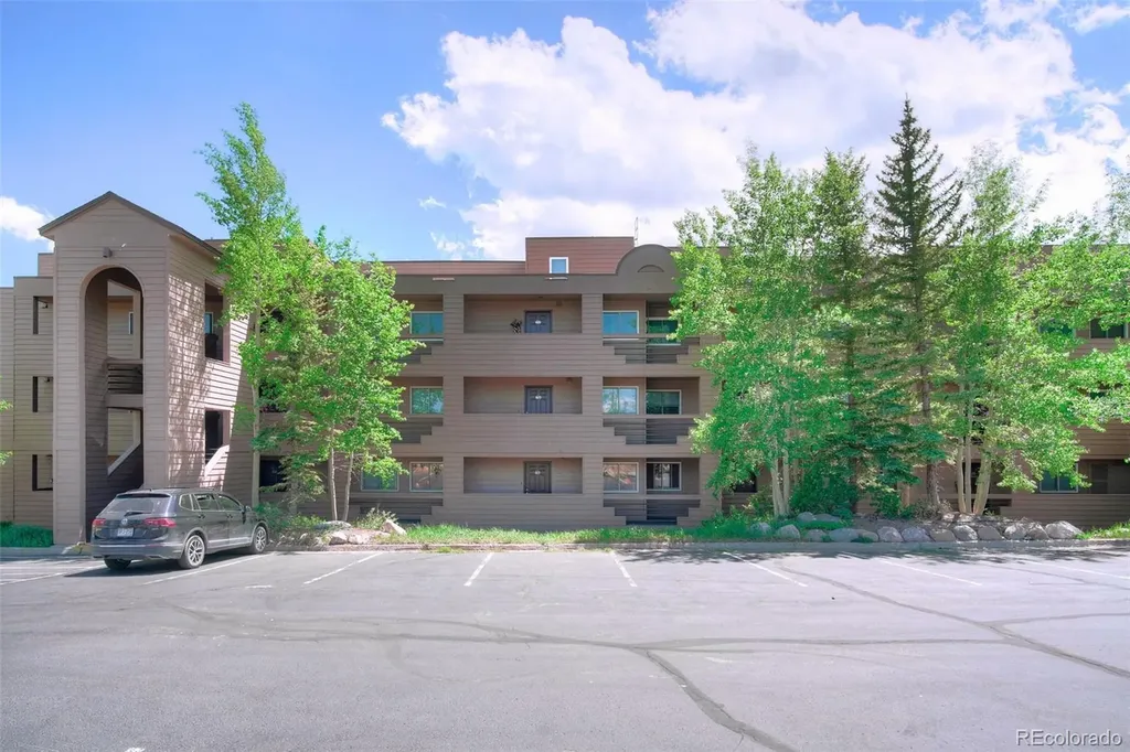 95600 Ryan Gulch Road Silverthorne CO 80498