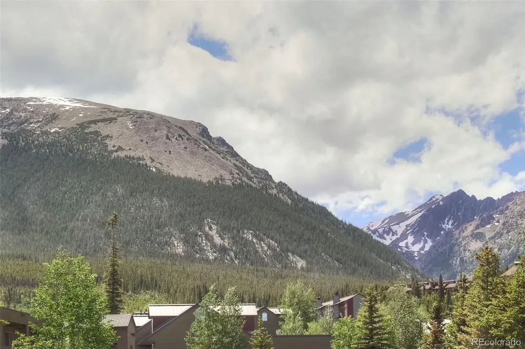 95600 Ryan Gulch Road Silverthorne CO 80498