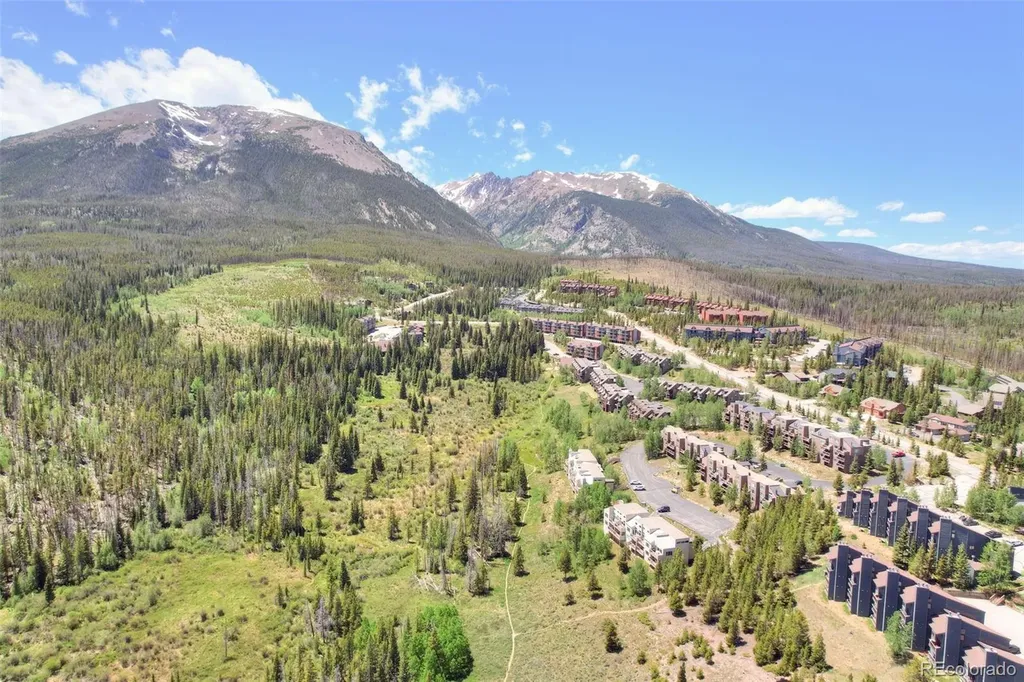 95600 Ryan Gulch Road Silverthorne CO 80498