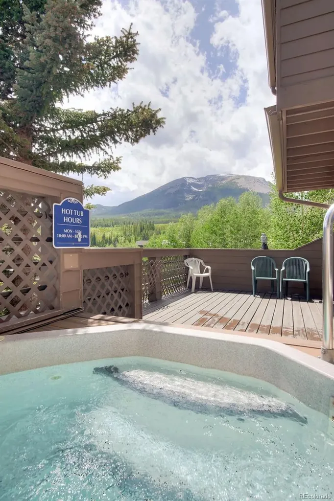 95600 Ryan Gulch Road Silverthorne CO 80498