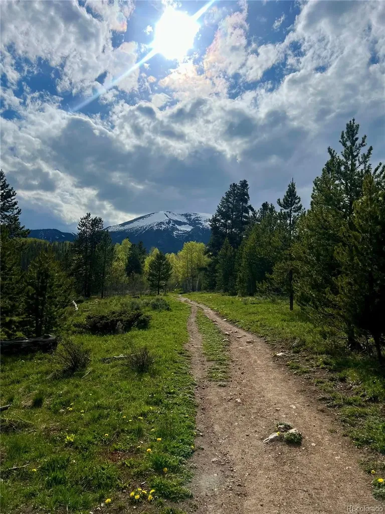 95600 Ryan Gulch Road Silverthorne CO 80498