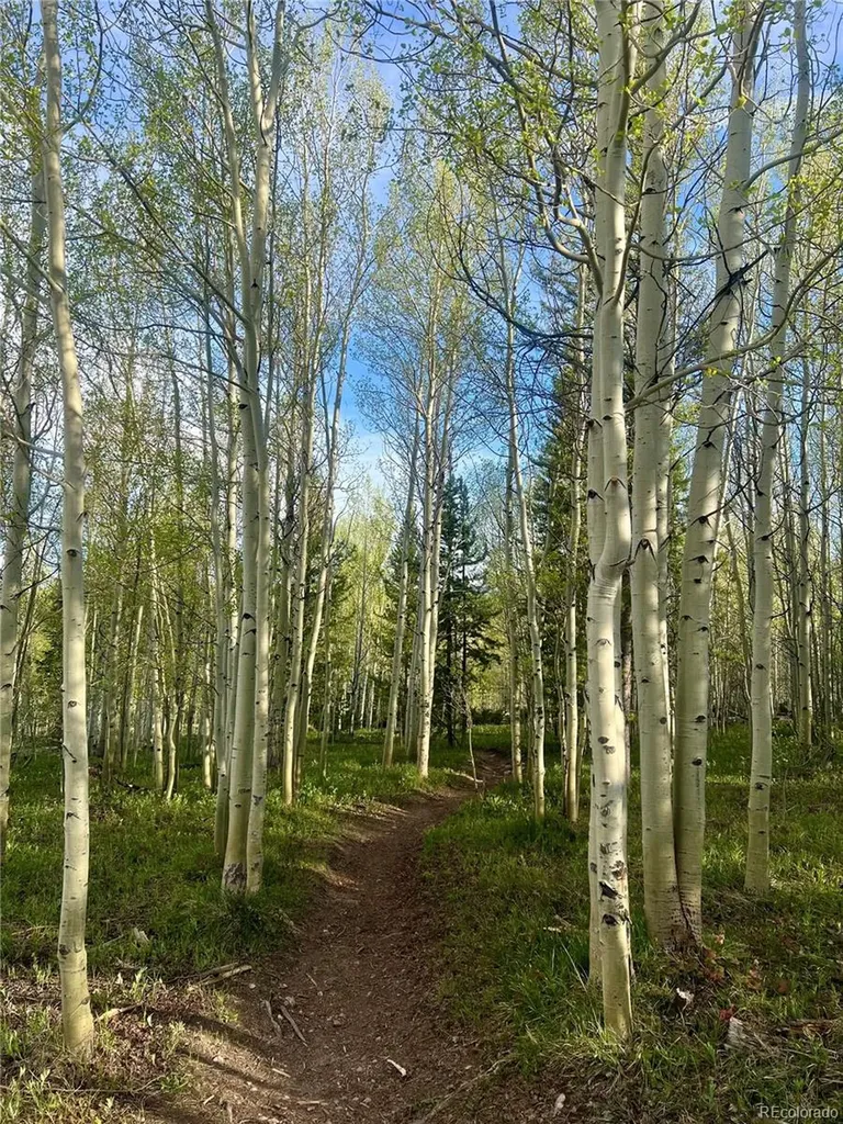 95600 Ryan Gulch Road Silverthorne CO 80498