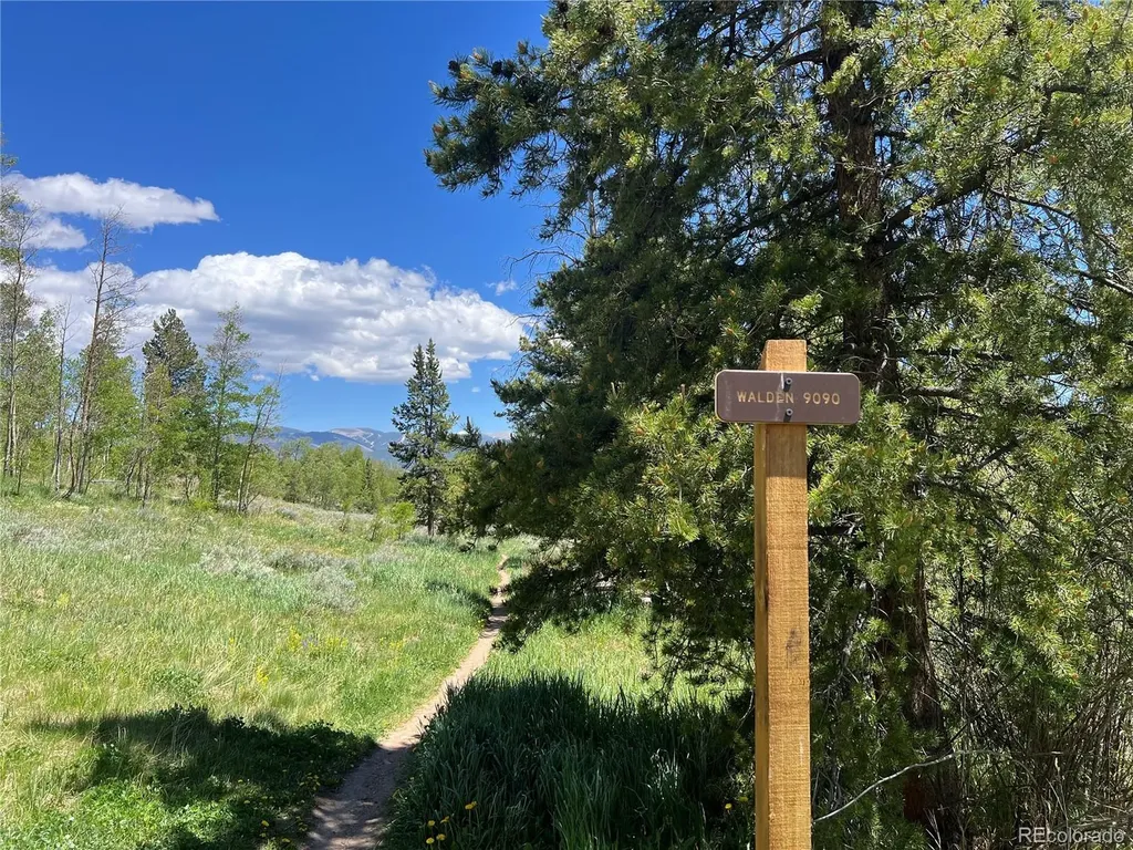 95600 Ryan Gulch Road Silverthorne CO 80498