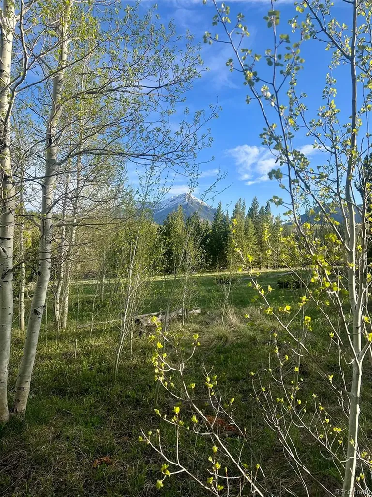 95600 Ryan Gulch Road Silverthorne CO 80498