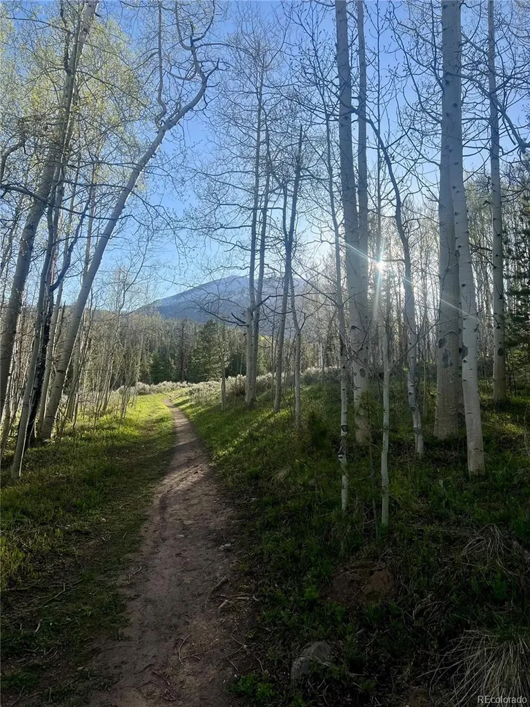 95600 Ryan Gulch Road Silverthorne CO 80498