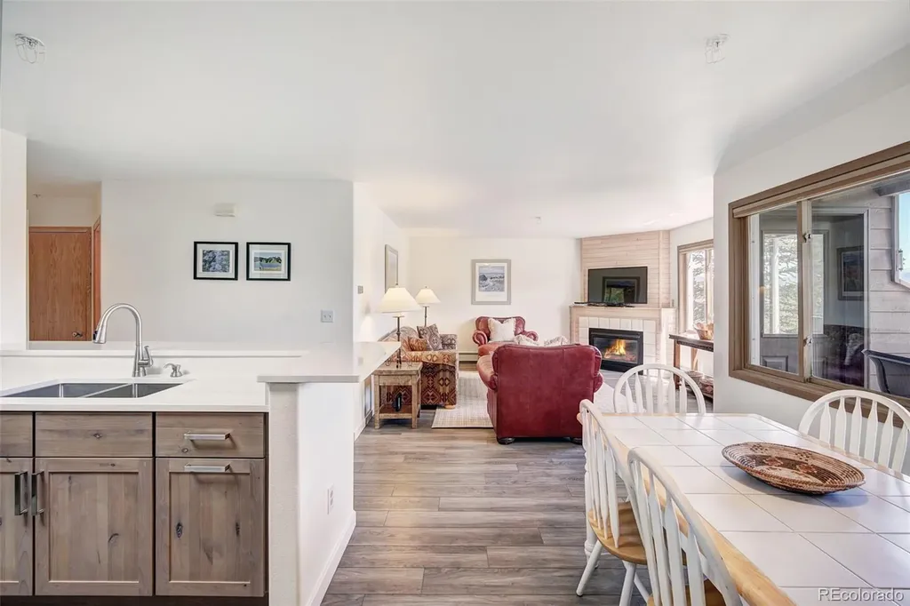 95600 Ryan Gulch Road Silverthorne CO 80498