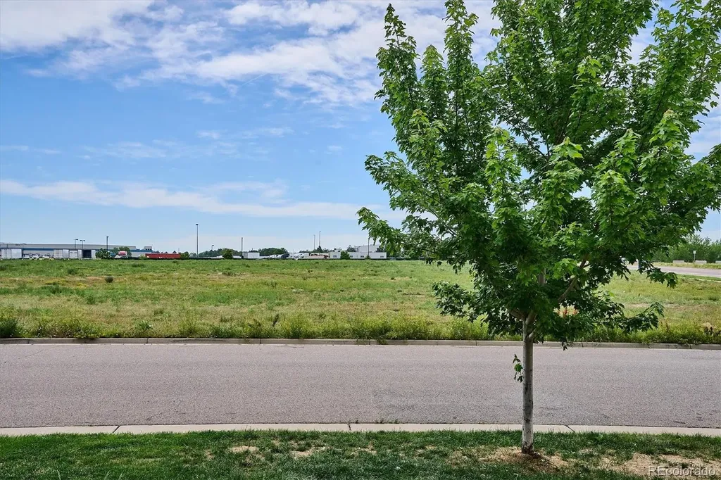 5167 Clinton Street Denver CO 80238