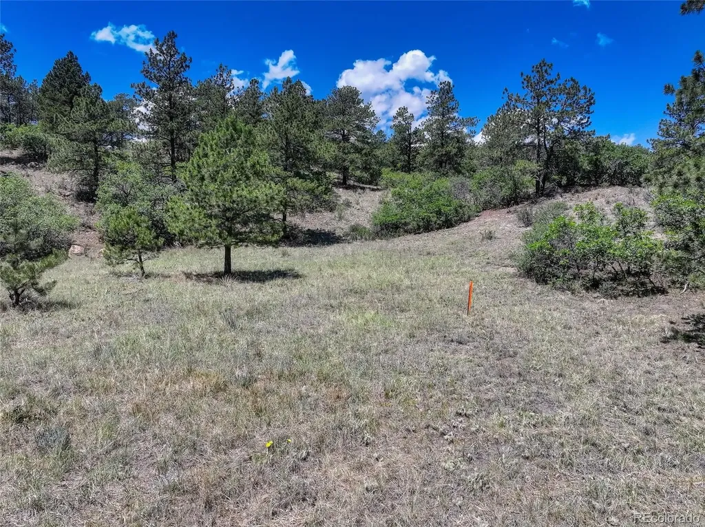 235 Dusty Hills Court Colorado Springs CO 80919
