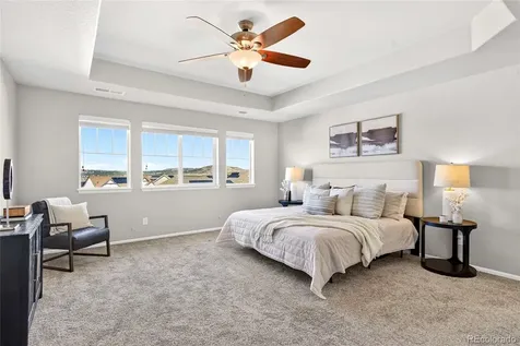 2571 Ambience Lane Castle Rock CO 80109