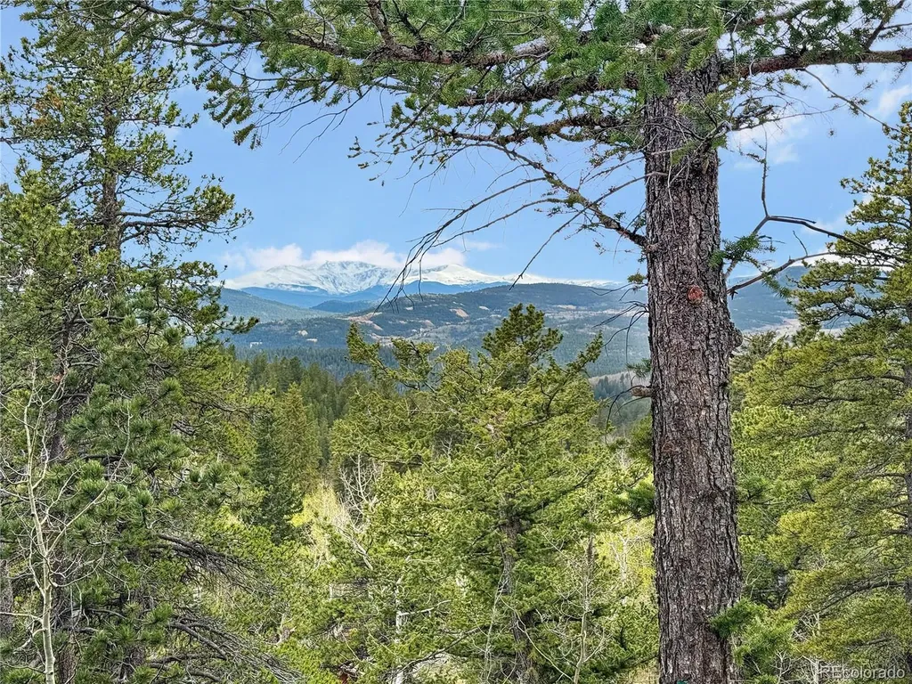350 Foxtail Drive Black Hawk CO 80422
