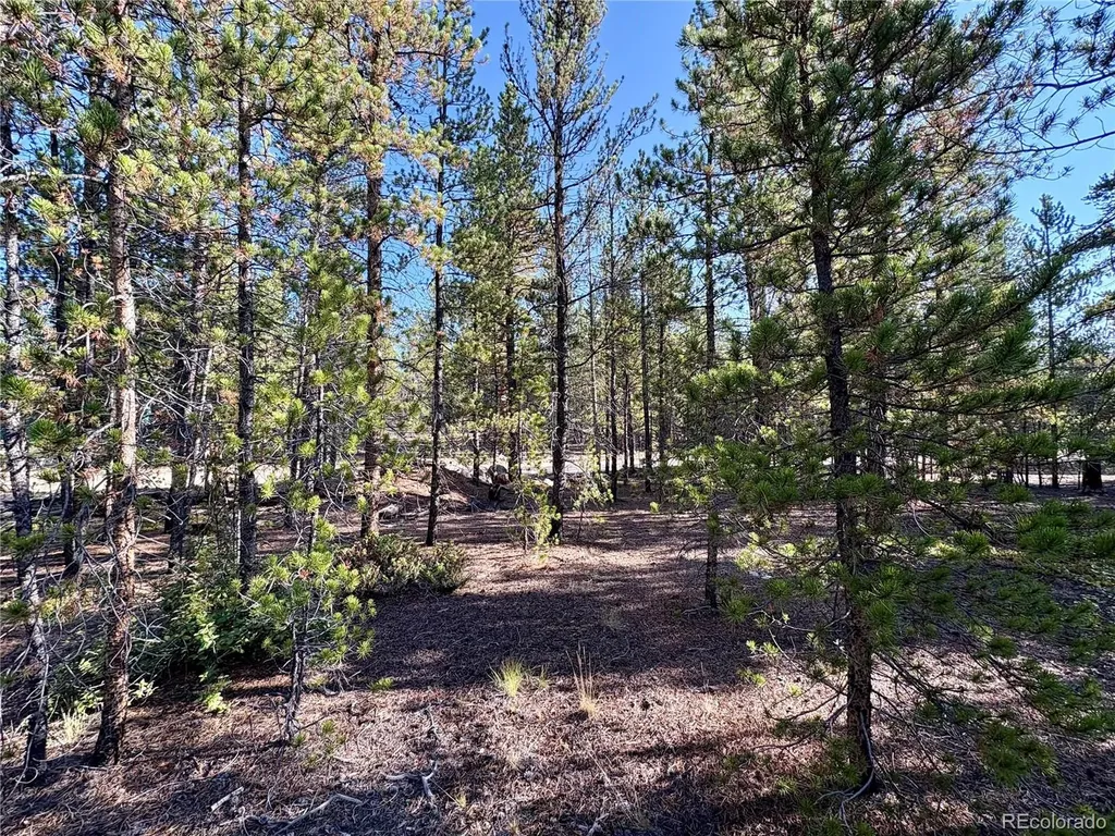 Tbd-lot 479 Birch Drive Twin Lakes CO 80461