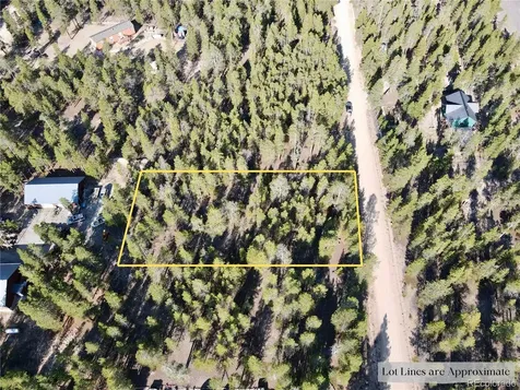 Tbd-lot 479 Birch Drive Twin Lakes CO 80461