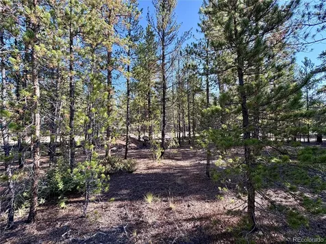 Tbd-lot 479 Birch Drive Twin Lakes CO 80461