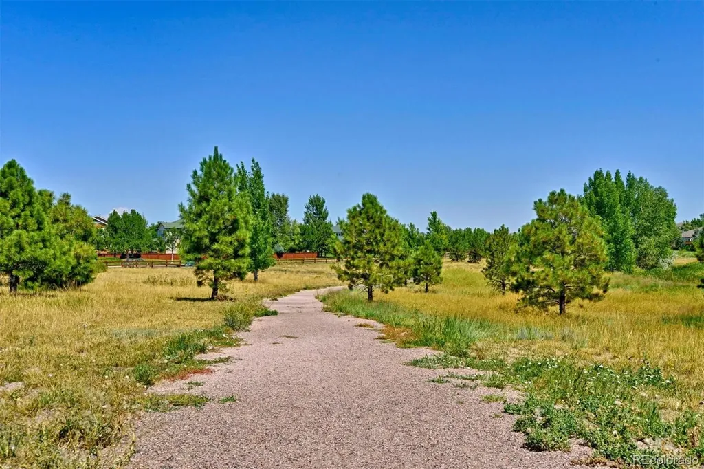 11828 Trail View Lane Parker CO 80134
