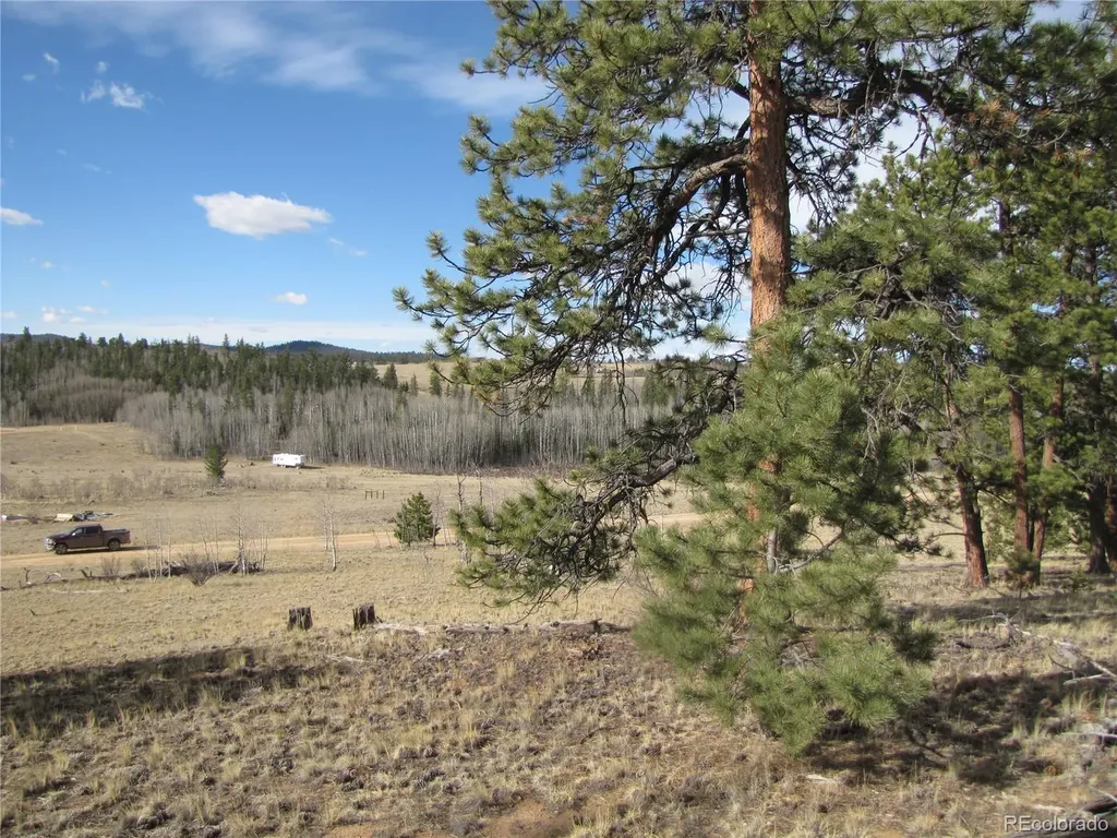 757 Remington Road Como CO 80432