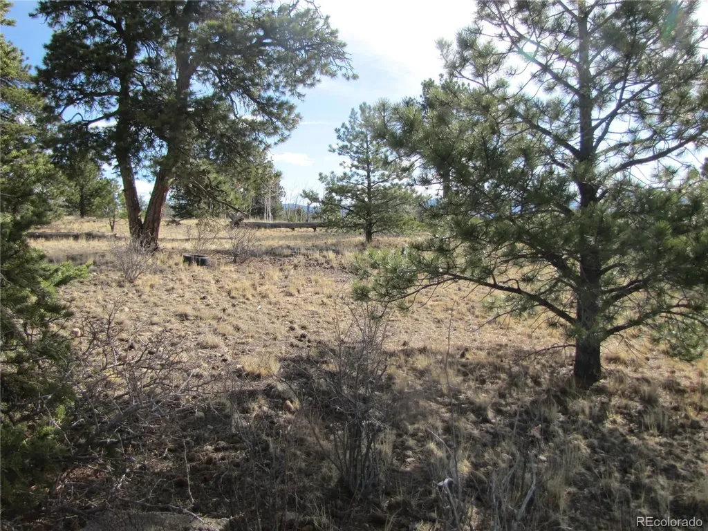 757 Remington Road Como CO 80432