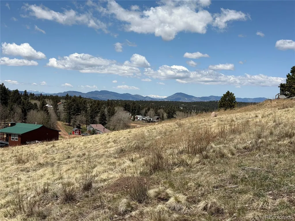 538 Friar Tuck Drive Divide CO 80814